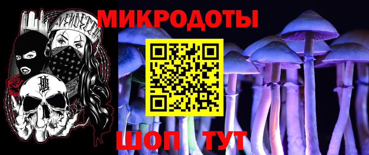 Псилоцибиновые грибы Magic Shrooms  Галлюциногенные грибы GOLDEN TEACHER  Заволжье  Вход с VPN 